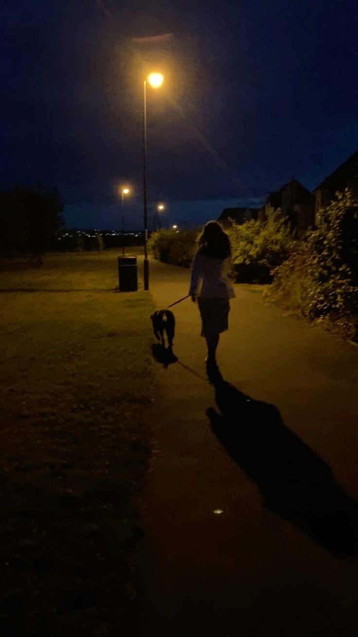 Parce que votre chien doit sortir même quand il fait nuit.